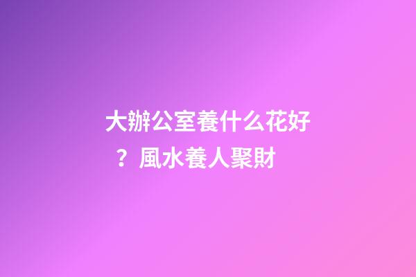 大辦公室養什么花好？風水養人聚財